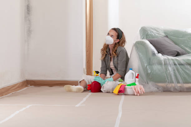Reliable Black Mold Remediation contractor in Mount Airy, MD by Car Mold Remediation